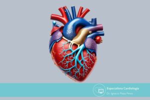 ¿En qué consiste una prótesis valvular? Guía completa para pacientes